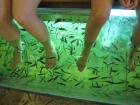 Fish Massage in Jungceylon, Patong Beach, Phuket
