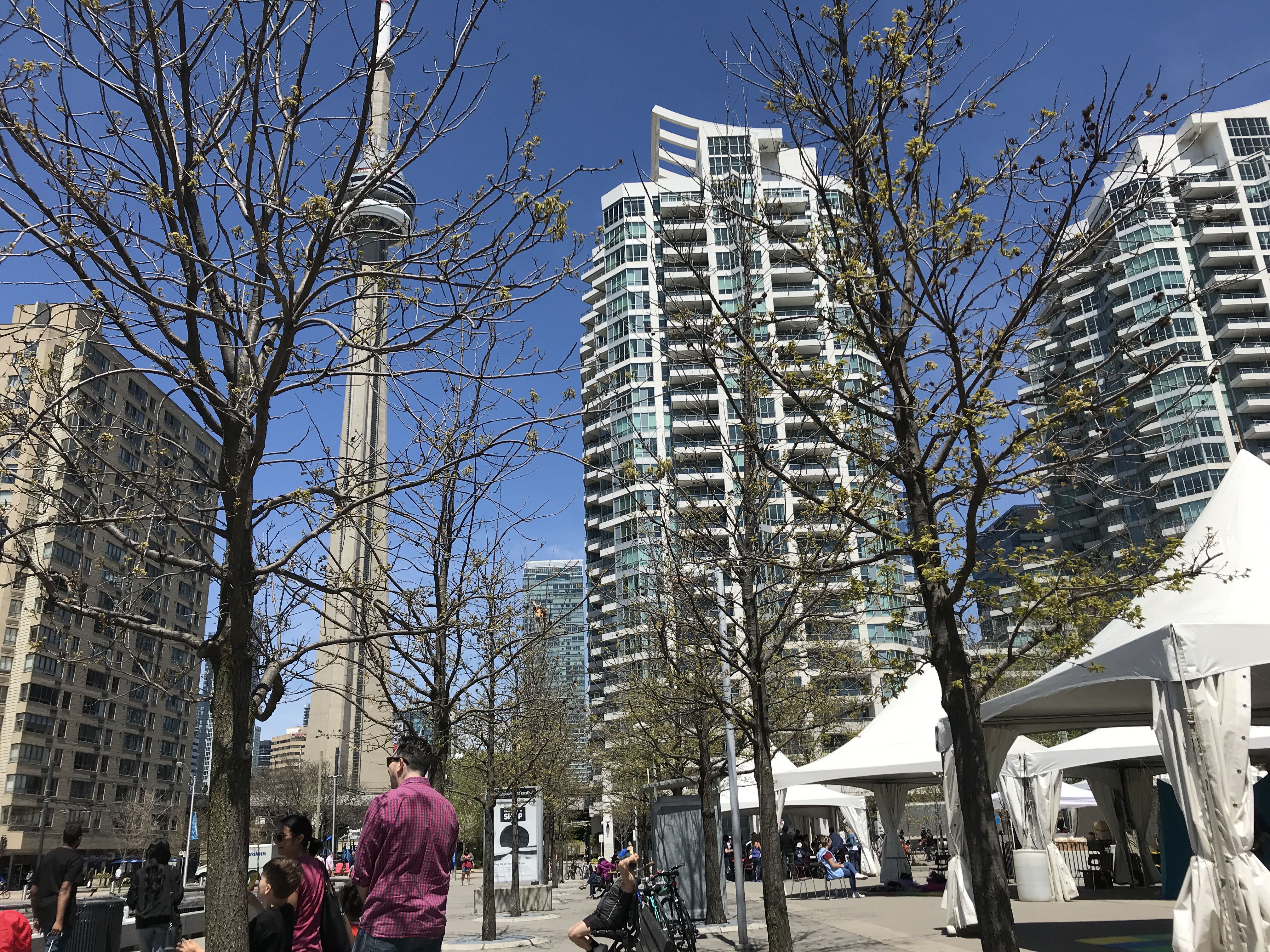 Old Toronto, Toronto, ON, Canada