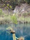 Golden Bell Lake - Jiuzhaigou<br/><br/>Though this lake is small, it is a beautiful lake.  The water