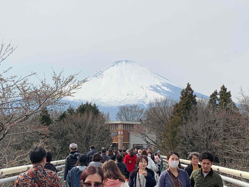 1312 Fukasawa, Gotemba, Shizuoka 412-0023, Japan